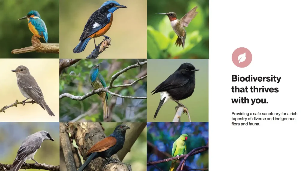 Assetz code name The First Bloom biodiversity